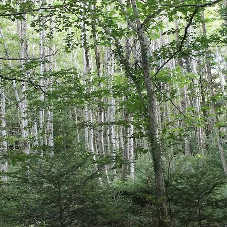 Casa Ela דירה סרה סן ברונו