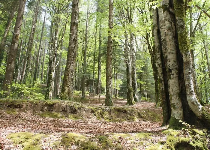 דירה Casa Ela סרה סן ברונו